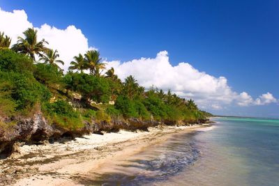 Scenic view of beach against sky