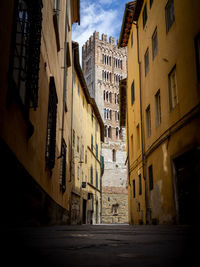 Lucca tower