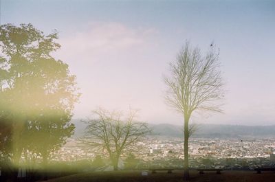 Bare trees on landscape against sky