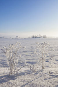 Scenic view of snow covered field against clear sky