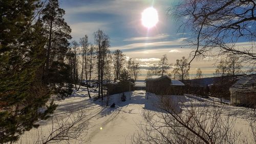 Bare trees on snow covered land against sky