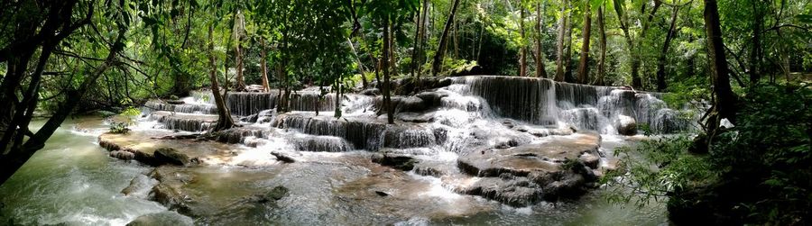 Scenic view of waterfall in forest