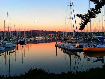 Boats moored at harbor during sunset