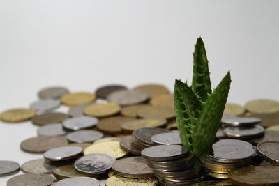 Close-up of coins