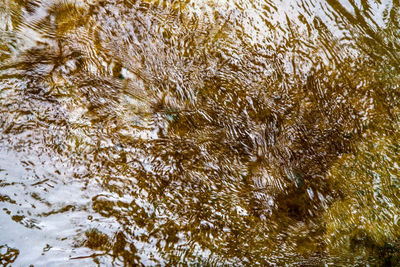 Full frame shot of water