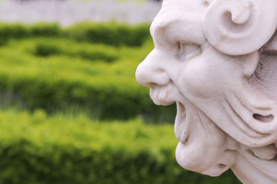 Close-up of statue against blurred hedges in background