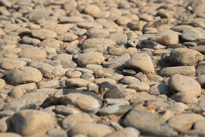 Full frame shot of pebbles