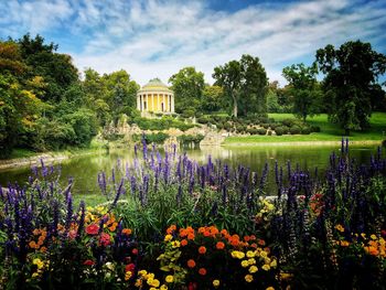 Scenic view of lake and plants against cloudy sky