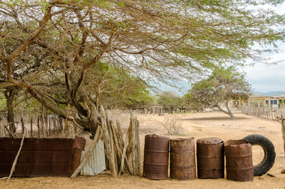 Rusty drums by tree on field