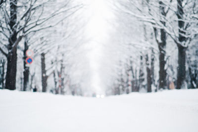 Bare trees on snow covered landscape