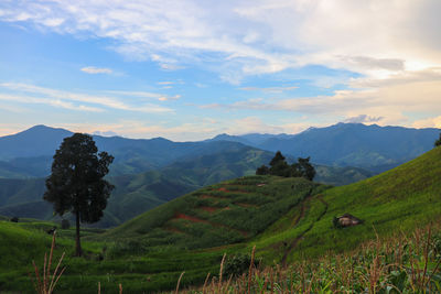 Scenic view of field and mountains against sky