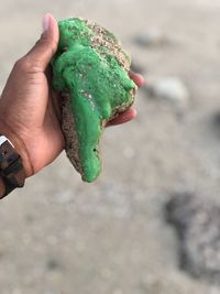 Cropped hand of man holding rock at beach