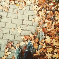 Low section of person standing in park