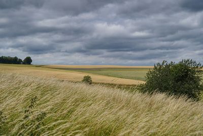 Scenic view of agricultural field against stormy sky