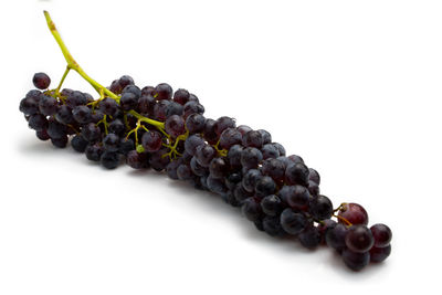 Close-up of grapes against white background