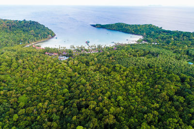 High angle view of trees and sea against sky