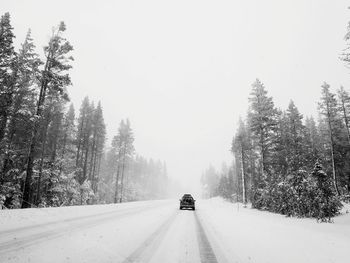 Car moving on snow covered road amidst trees during winter