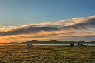 Scenic view of field against sky during sunset