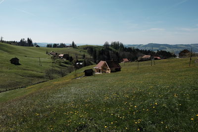 Scenic view of agricultural field against sky