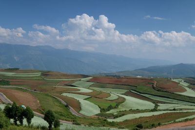 Scenic view of agricultural field against sky