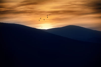 Silhouette of birds flying in sky