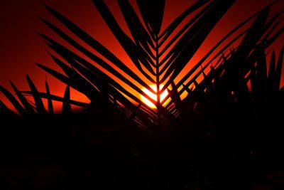 Low angle view of illuminated orange sky during sunset