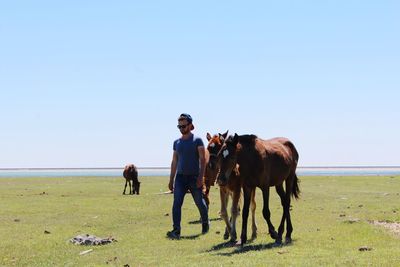 Mid adult man with horses walking on grassy field against clear sky during sunny day