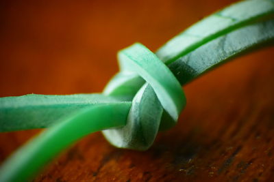 Close-up of green leaf