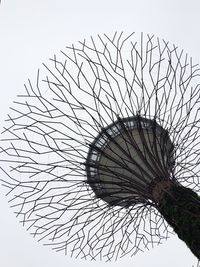 Low angle view of bare tree against clear sky