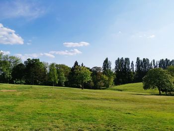 Trees on field against sky