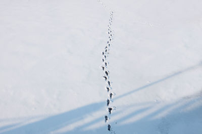 Footprints in the snow outside