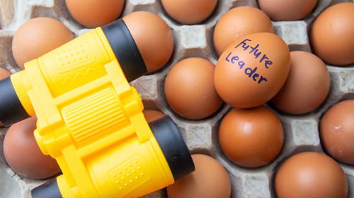 High angle view of eggs in container