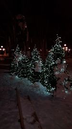 Illuminated christmas lights at night