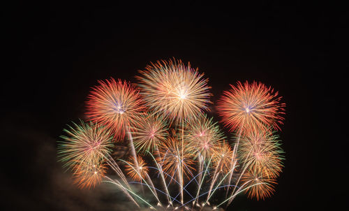 Low angle view of firework display at night