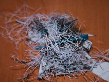 High angle view of plastic bag on table