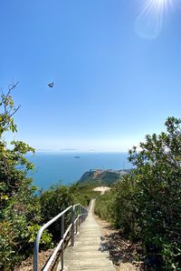 Footpath amidst plants against clear blue sky