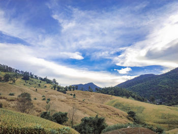 Scenic view of landscape against sky