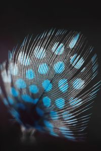 Close-up of illuminated light over black background