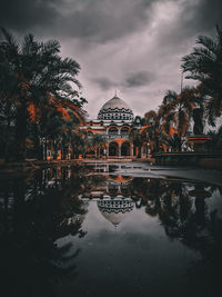 Reflection of trees in water