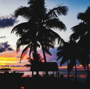 Silhouette of palm trees at sunset