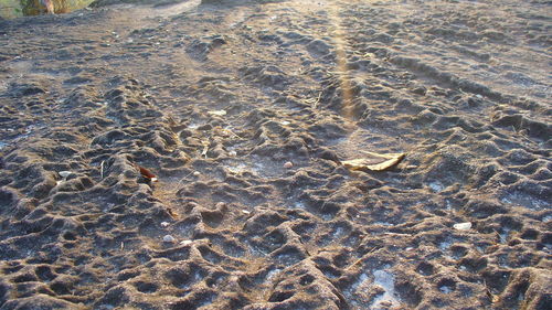 High angle view of beach