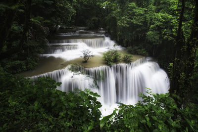 Scenic view of waterfall in forest