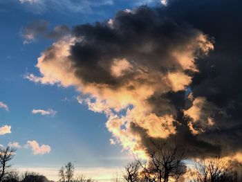 Low angle view of silhouette trees against sky at sunset