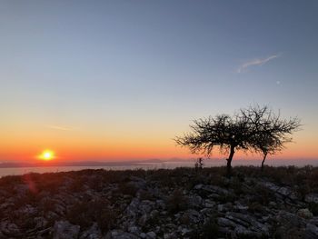 Silhouette tree against sky during sunset