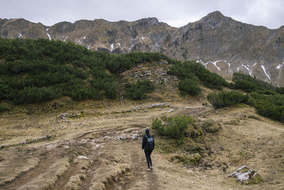 Rear view of woman looking at landscape during winter