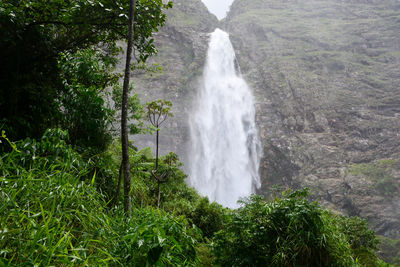 Scenic view of waterfall in forest