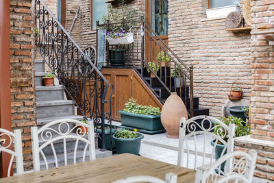 Potted plants on staircase of building