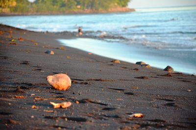 Morning beach in tahiti