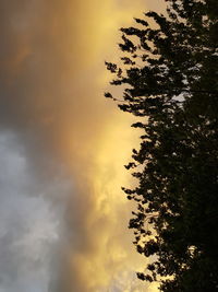 Low angle view of silhouette tree against sky at sunset