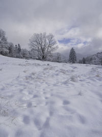 Snow covered field against sky